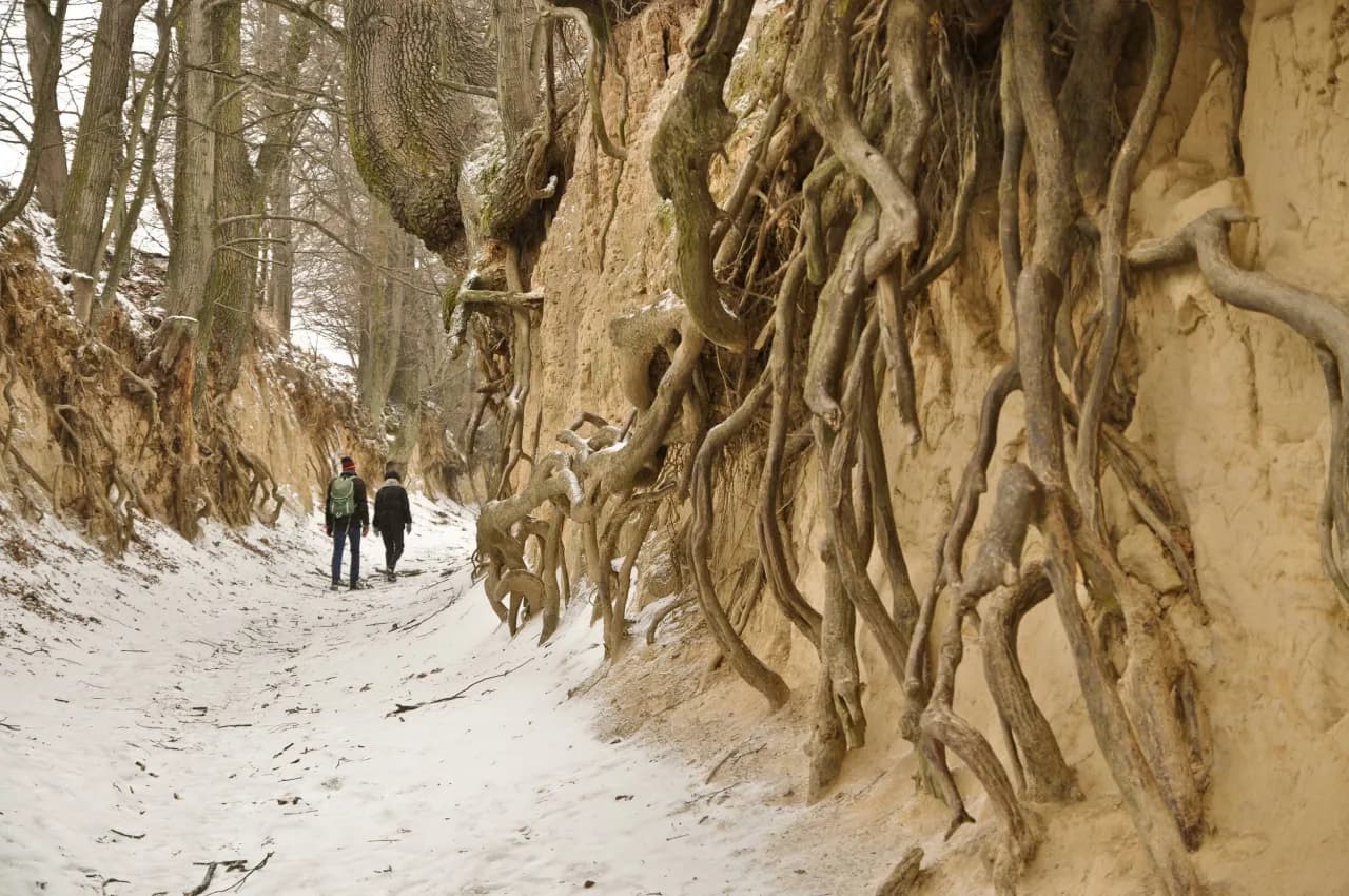 Kazimierz Dolny: atrakcje, wąwozy, rejsy. Jak zaplanować wyjazd?